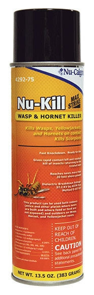 Wasp and Hornet Killer Spray - 4292-75